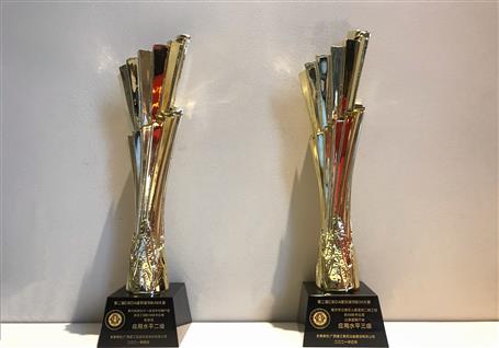喜訊！公司捧回兩座國(guó)家級(jí)BIM技術(shù)應(yīng)用獎(jiǎng)杯
