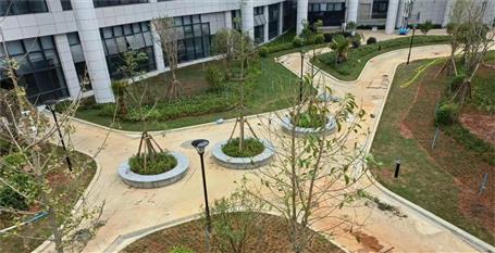 【提升“三力” 爭創(chuàng)佳績】第三分公司項目通過預驗收交付使用