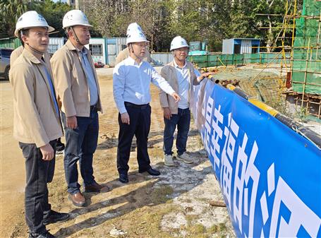 賴海標到桂南分公司項目開展2026年第一季度暨春節(jié)后復工復產安全生產質量綜合大檢查